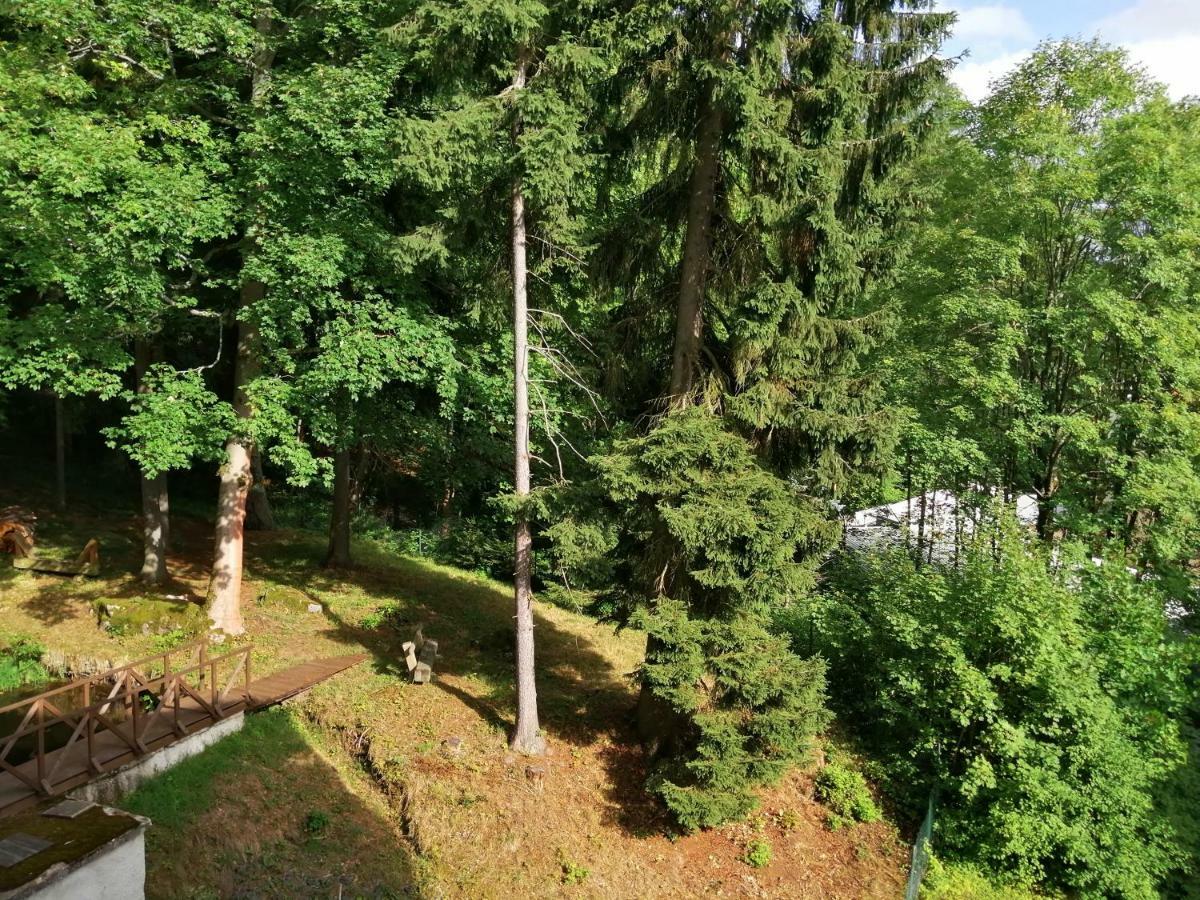 Parkhotel Forest Mariańskie Łaźnie Zewnętrze zdjęcie